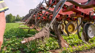 "I Won't Run Any Of My Cultivators Without The Torsion Weeder"