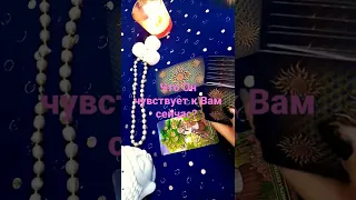 ЕГО ЧУВСТВА К ВАМ СЕЙЧАС?💖 2 ВАРИАНТА