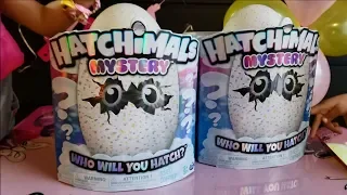 🎁Opening Birthday Gift🎁Hatchimals Mystery Egg🥚| 2 Interactive Baby Hatchimals Surprise | Unboxing