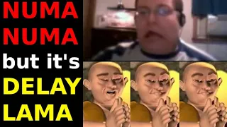 Numa Numa Guy but it's Delay Lama (Full Song)