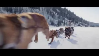 THe CALL OF THE WILD AVALANCHE CLIP 2020