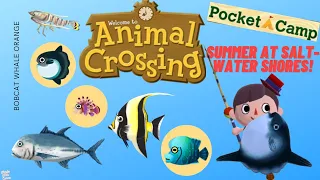 Catching ALL of the SUMMER FISH in Saltwater Shores!🎣🏖(Pocket Camp)