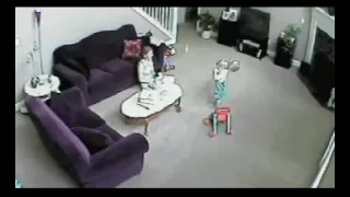 Cat Saves Child From Mom