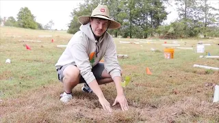 How MrBeast Is Saving the Planet Through #TeamTrees