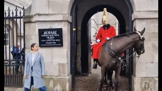 Guard raised his voice to tourists, not listening  #thekingsguard