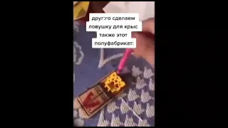 Мем про мышеловку