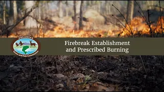 Conservation Incentive Program: Firebreak Establishment and Prescribed Burning