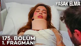 Yasak Elma 175. Bölüm Fragmanı | Kumru Yaralandı.