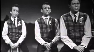 Bee Gees -  Blowin’ In The Wind  1963