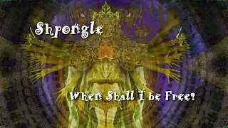 Shpongle - When shall I be free?/The stamen of the shaman (Psychedelic video)