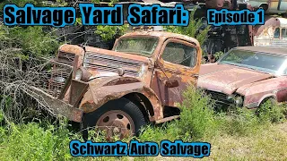 Salvage Yard Safari: Episode 1.  Schwartz Auto Salvage