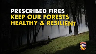 Prescribed Fires Reduce Wildfire Fuel