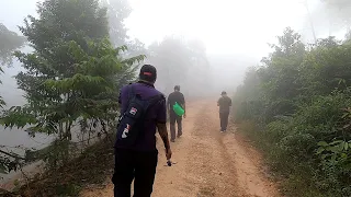 Pemandangan indah awan karpet di Bukit Telipong, Changlun, Kedah