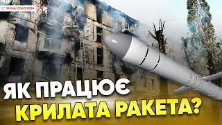 🚀 ЛЕТЮЧА СМЕРТЬ! Крилаті ракети мОСКОВІЇ і їх слабке місце. Яніна знає!