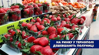 На ринку у Тернополі дешевшають полуниці