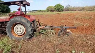 como está bem arada a terra