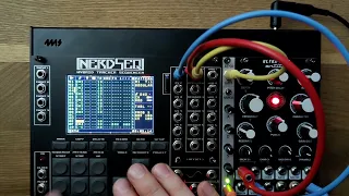 NerdSeq + SSF Ultra Kick - live workflow for kick & bass