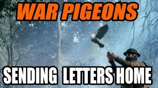 BATTLEFIELD 1 - War Pigeons - Sending Letters Home