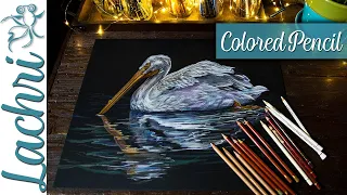 Colored Pencil blending, layering and tips on black paper  -  Lachri