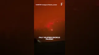 WATCH: Italy Wildfires Turn Night Sky Bright Orange