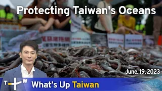 Protecting Taiwan's Oceans, What's Up Taiwan – News at 08:00, June 19, 2023 | TaiwanPlus News