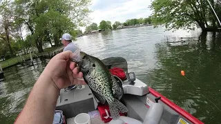 Crushing Crappie and Saugeye at Indian Lake mid Ohio