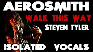 Aerosmith - Walk This Way - Steven Tyler - Isolated Vocals - Analysis and Singing Lesson