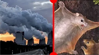 Global Catastrophe & Ancient Flying Squirrel - 7 Days of Science