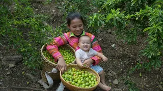 Life of a 17-Year-Old Single Mother with Her Daughter - Harvesting Plums in the Mountains