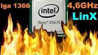 Lga 1366 x5675@4,6GHz in LinX в поисках стабильности...