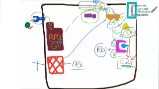 Molecular Basis of Carcinogenesis