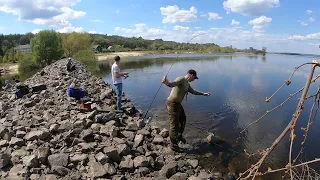 Тринування по судачку(Канівське водосховище)