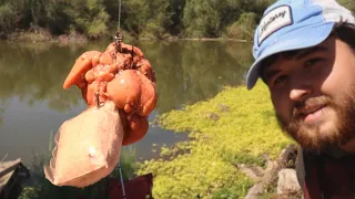 Arizona Catfishing a Small Desert River!