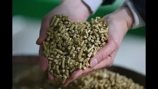 Как в Сибири делают топливные гранулы-пеллеты