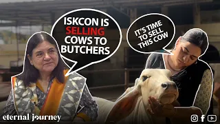 this is how ISKCON sells cows | ISKCON EXPOSED | maneka gandhi ji | eternal journey | ej 34