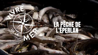 Vivre de la mer: Pêche de l'éperlan