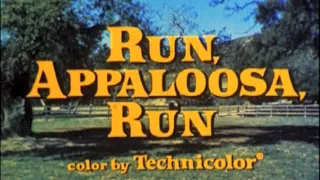 Inizio de "Il cavallo indiano" vers. it. di "Run Appaloosa run" (telecinema da 16mm).