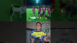 Jugador del Medellin fue orinado por un perro 🐕🤣⚽️❌👀 #futbol