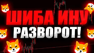 ШИБА УЖЕ ГОТОВ ПОЛЕТЕТЬ НА ЛУНУ! И ВОТ ПОЧЕМУ!