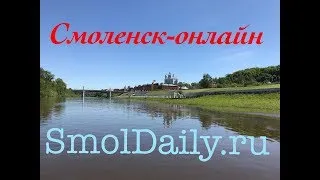 Тамара Максимчук о праздновании Дня города