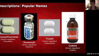 DrugsCo 7/21/20: Lecture 9 (Opioid Spotlight)