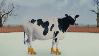 "КАТОК". #1. Корова на льду