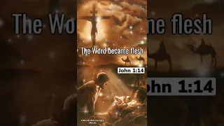 The Word became flesh (John 1:14)