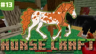 FOALS !!!   Horse Craft   SWEM + Modded Minecraft   Pt13