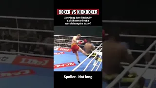 Boxer vs Kickboxer