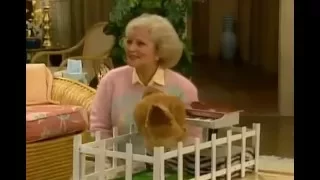 The Golden Girls - Rose