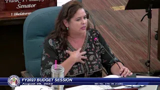 36th Guam Legislature FY2023 Budget Session - August 29, 2022 PM Pt.1