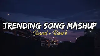 Non-Stop Trending Song Mashup | Slowed + Reverb | Night Drive Mashup 2024 | Bollywood Slowed Reverb