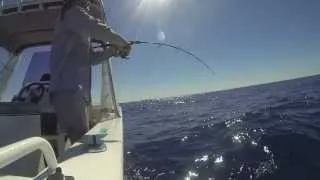 Samson Fish Jigging