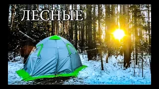 SECRETS OF THE WARM TENT | HEATING TENT | LIFE IN A TENT FROM A TO Z